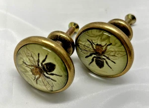 Botanical Bee Drawer Pull Knobs Set of 2 Brass Hardware NIP - Picture 1 of 5