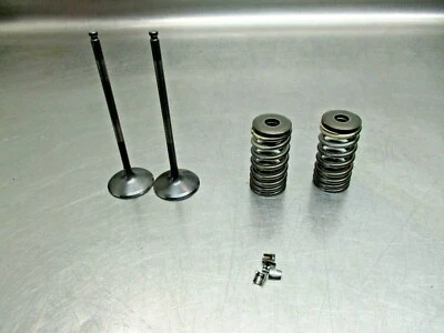 Suzuki GSXR600 2002 válvulas de admisión resortes retenedores juego C 12921-35F00 Foto 1 de 2