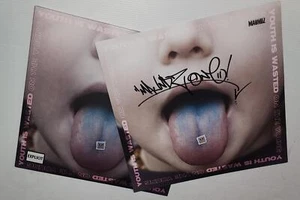 MAUNDZ YOUTH IS WASTED ON THE YOUNG BRAND NEW SEALED PINK SPLATTER VINYL LP - Bild 1 von 2