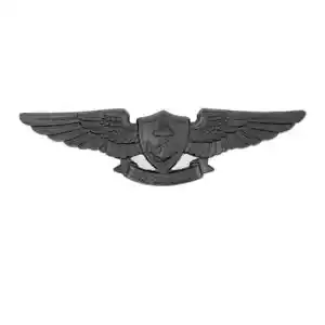 Especialista en Guerra de Aviación Alistado (EAWS) Acabado en Metal Negro ~ Tamaño Regulado - Imagen 1 de 5