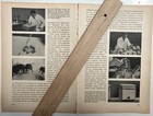 Sprache der Bienen 1950 Schwänzeltanz Tanz Imker Honig Forschung Koordinaten 185