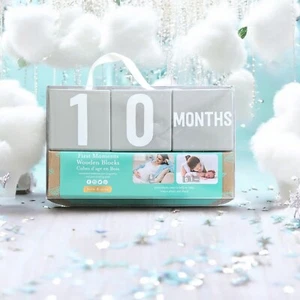 Baby Monthly Milestone Blocks Gray Months Weeks Year Unisex Kate & Milo - Picture 1 of 4