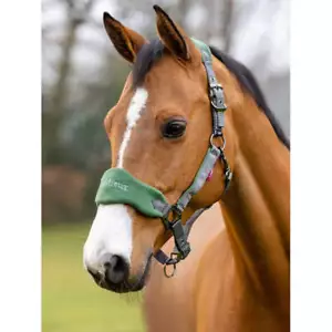 IT00832 Vogue Fleece Cojín Cuello Halter y Cuerda de Plomo Set-Cazador Verde NUEVO - Imagen 1 de 5