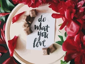 Paint by Numbers kit with Frame, 19.7x15.7in - Do what you love - 12120 - Picture 1 of 5