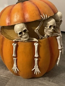 Zucca di Skellie Pier 1 importazione fuori produzione, rara Adorabile! - Foto 1 di 7