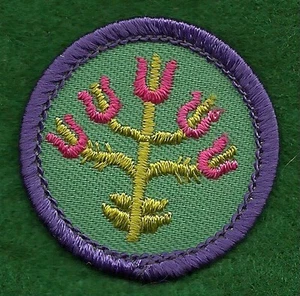 VINTAGE GIRL SCOUT BADGE - WORLDS TO EXPLORE - FOLK ARTS - FREE SHIPPING     - Picture 1 of 2