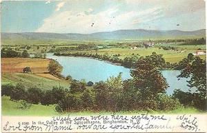 Valley of the Susquehanna Binghamton NY The Rotograph Co Undivided Back Postcard - Picture 1 of 2