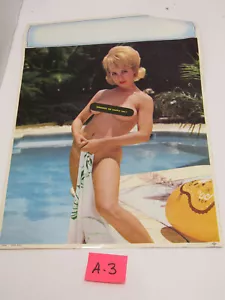 A-3 ALTES VINTAGE 1968 FARBE PIN-UP SEXY LITHO 2-SEITIGES POSTERMUSTER - Bild 1 von 2