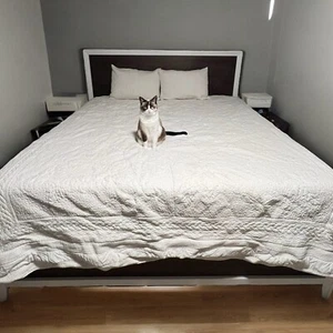 Copriletto Trapuntato Vintage Impressions Matelasse Avorio Crema 88" x 102" - Foto 1 di 11