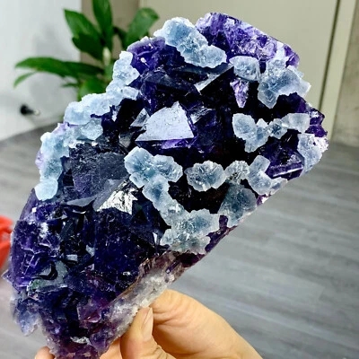 2,79 lb Fluorita Natural Púrpura-Azul Doble Color Cristal Mineral Espécimen, Zhejiang Foto 1 de 4