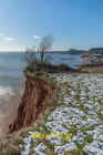 Photo 12X8 Cliff Erosion Sidmouth A Patch Of Scrub At The Top Of Salcombe  C2019