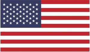 SET 6 ADESIVI BANDIERA USA FLAG STICKERS UNITED STATES AMERICA FLAG AUTO VINILE - Imagen 1 de 1