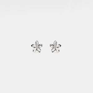 Tiny Gold Flower Stud Earrings in 925 Sterling Silver - Picture 1 of 3