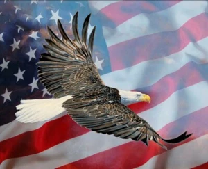 American Pride Eagle And Flag Digital Prints Four Seasons Panel Cotton Fabric - Bild 1 von 1