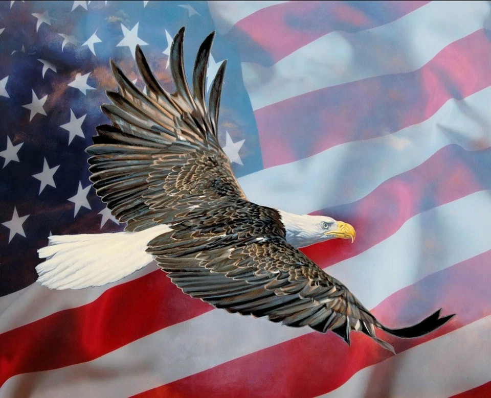 Tecido de algodão painel quatro estações estampas digitais águia e bandeira orgulho americano - Imagem 1 de 1