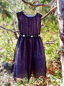 Laura Ashley toddler party dress black tulle pink rosettes & sequins sash 2T - Picture 1 of 5