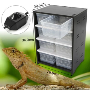 Large Cage Reptile Pet Enclosure Lizard Spider Snake Tortoise Breeding Tank - Picture 1 of 12
