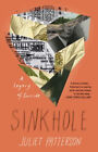 Sinkhole: a Natural History of a Suicide : A Natural History of a