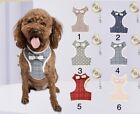 Pet Control Harness for Dog Cat Breathable Mesh Walk Collar Safety Strap Vest