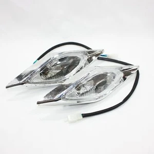 Par de lámparas de luz de cabeza de 12 V 150 250 CC estilo dinosaurio cuádruple moto todo terreno 4 ruedas - Imagen 1 de 4