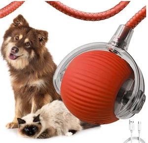Interactive smart Rolling Ball with Tail, Chewy Viral Rolling Ball, Dog & Cat - Picture 1 of 13