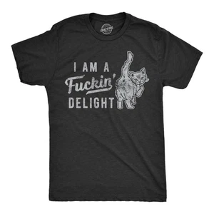 Herren T-Shirt Im A Delight lustig offensiv Spruch urkomisch Tee - Bild 1 von 7