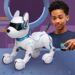 Ziggy the Robo Dog - Picture 1 of 22