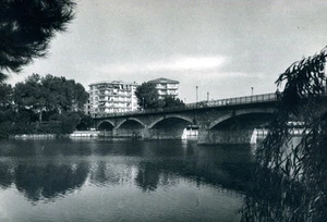 CARTOLINA POSTCARD CARTE POSTALE LIGURIA GENOVA CHIAVARI PONTE SU'ENTELLA - Picture 1 of 1