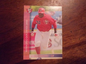 2010 WINNIPEG GOLDEYES Team Issue Minor League Single Cards YOU PICK OBO