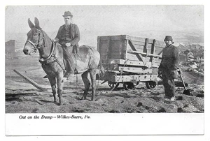 Wilkes-Barre, Pa - Coal Industry - Out on the Dump - Picture 1 of 2