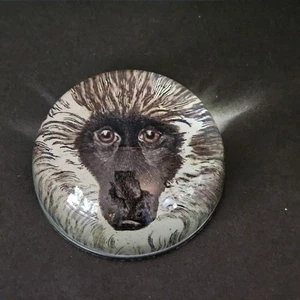 John Derian Kuppel Briefbeschwerer Affe Pavian Decoupage Handarbeit in USA, Glas - Bild 1 von 9