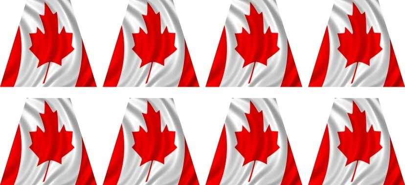 Reflective Canadian Fire helmet tetrahedrons tets stickers - Image 1 of 1