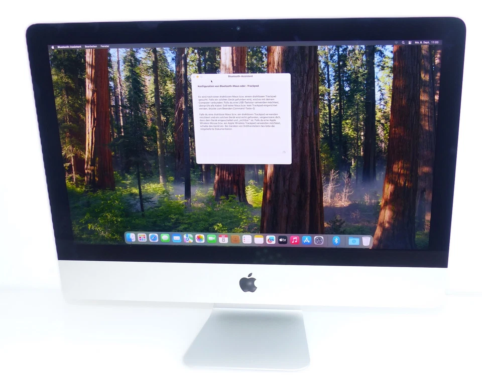 Apple iMac Retina 4K 21,5" 21,5 Zoll 3,0 GHz i5 8GB 1TB 2019 A2116 MWST #12 FA - Bild 1 von 4