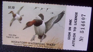 1977 Maryland Waterfowl Duck Hunting Stamp - MNH Lot#M51 - Picture 1 of 1