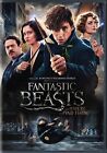 Fantastic Beasts and Where to Find Them DVD Eddie Redmayne NEW