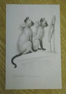 Antigua postal de gato siamés 1911 gemelos Forest River matasellos SD - Imagen 1 de 3