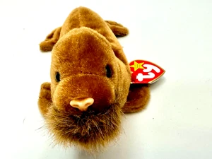 Paul The Walrus Sea Animal Plush Toy Birth Feb 23 1999 Ty Beanie Baby Retired - Picture 1 of 17