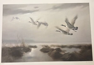 “Southward Bound” Wildlife Duck Art Print By Manfred Schatz S/N LE 42/750 - Picture 1 of 5