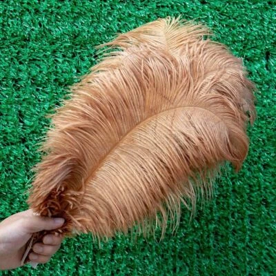 Lote de 10 plumas de avestruz blanco para decoración de fiestas de bodas plumas artesanales Foto 1 de 4