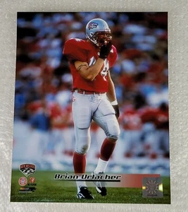 Photo Brian Urlacher New Mexico Lobos 8"x10" Official Licensed NCAA (2008) - Picture 1 of 6