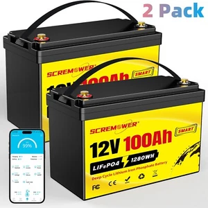2 Pack Bluetooth 12V 100Ah LiFePO4 Deep Cycle Lithium Battery for Solar RV 24V - Picture 1 of 14