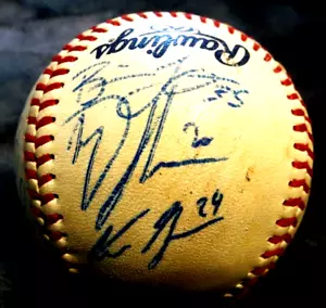 2015 Boston Salem Red Sox Team autografiado Carolina League ¡Bola de béisbol! - Imagen 1 de 5
