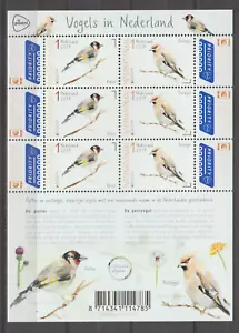 S36700 Netherlands Europa Cept MNH 2019 S/S Birds - Picture 1 of 1