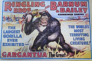 RINGLING BROS BARNUM BAILEY CIRCO-GARGANTUA El GRAN - SIGNO DE METAL ESPECTÁCULO DE GORILAS - Imagen 1 de 1