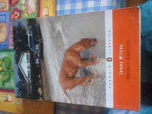 Modern Baptists by James Wilcox (Paperback, 2006) - Bild 1 von 1