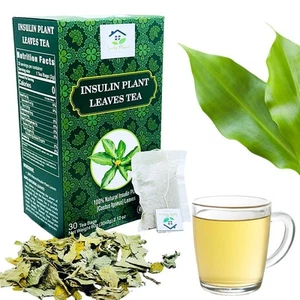 Dried Insulin Plant Leaves Tea 30 x 2g Tea Bags Natural Costus Igneus Herbal ... - Picture 1 of 5