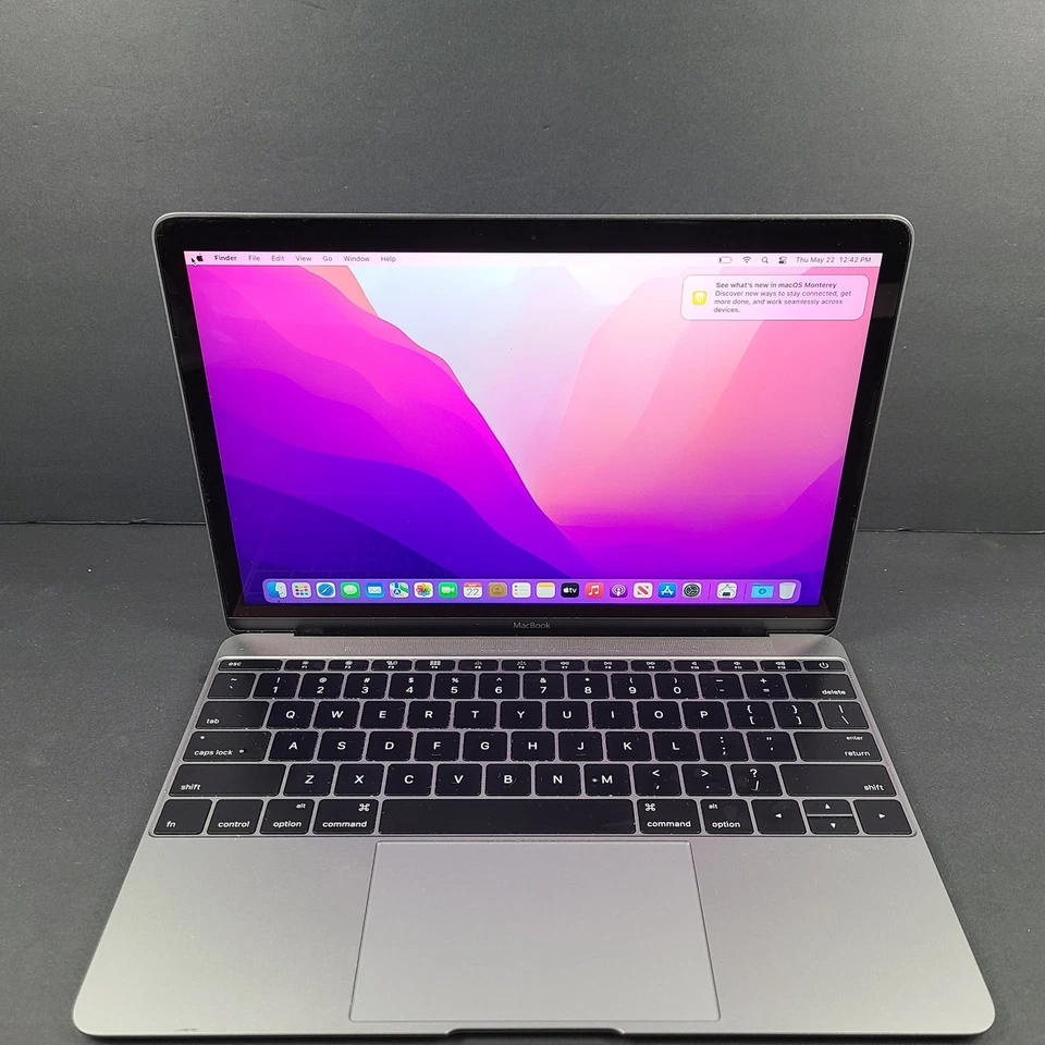 Apple MacBook Retina A1534 2016 12" Intel Core m3 - 256 GB SSD 8 GB RAM gris espacial Foto 1 de 4