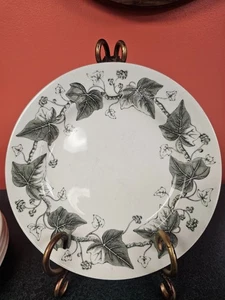 wedgewood china Napoleon ivy  plates 8.25 inch set of 5 - Picture 1 of 11