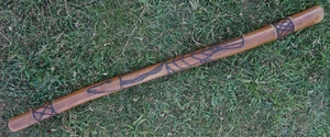 Didgeridoo de Australia, eucalipto, termita ahuecada tallada/quemada sin pintar - Imagen 1 de 16