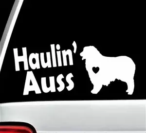Haulin Auss Australian Shepherd Aussie Decal Sticker for Car Window - Picture 1 of 4